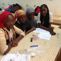 microscience niger 1