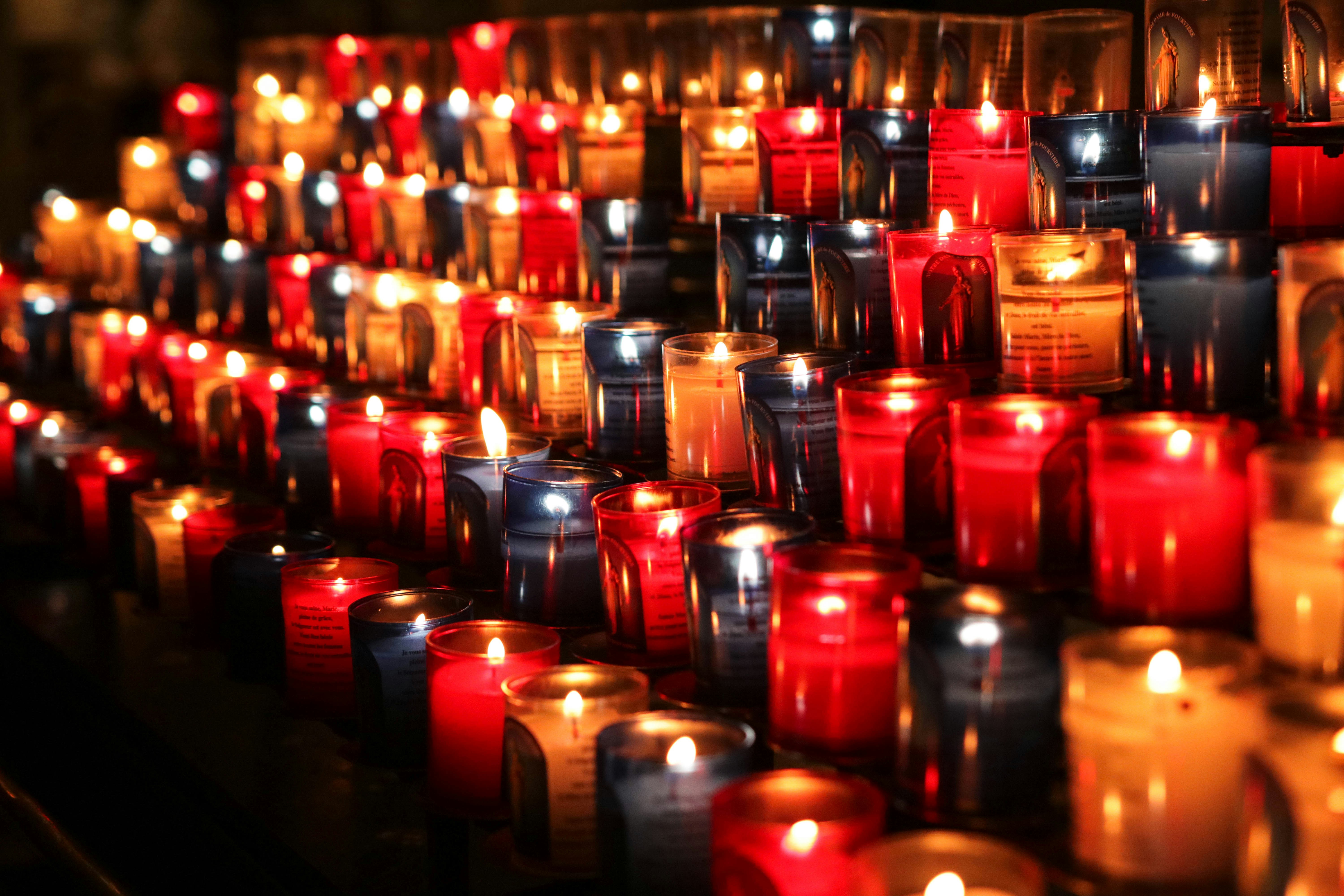 paul robert vUDhbVAFw 4 unsplash